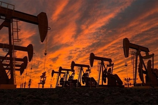 Giá xăng dầu hôm nay (19/5): Bắt đầu tuần mới trong "sắc xanh"