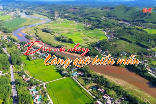 Khoai Vạc – Rực vàng mùa bưởi chín