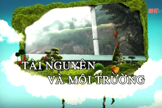 Khó khăn trong nỗ lực hồi sinh rừng