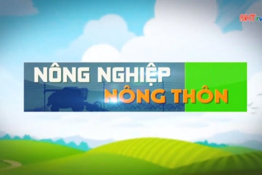 Nông nghiệp Hà Tĩnh từng bước hồi phục sau mưa, bão