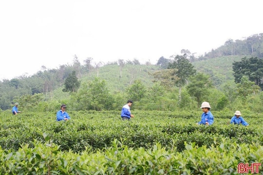 Tổng đội Thanh niên Tây Sơn - "khi ta đi đất bỗng hóa tâm hồn"
