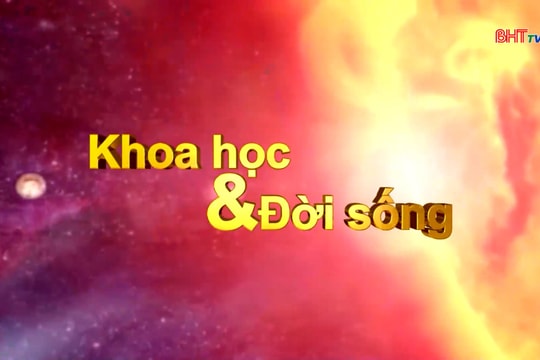 Ứng dụng KHKT làm giàu từ các sản phẩm quê hương