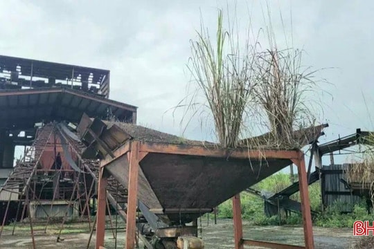 Chấm dứt hoạt động Dự án Nhà máy tuyển quặng sắt Vũ Quang