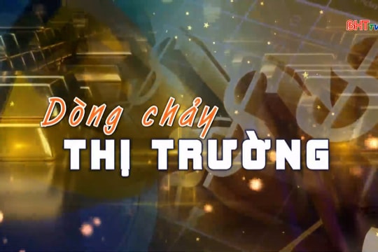 Thị trường hoa, cây cảnh tất bật vào vụ Tết