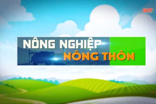 Lúa giảm phát thải - Hướng đi bền vững vụ Xuân 2026