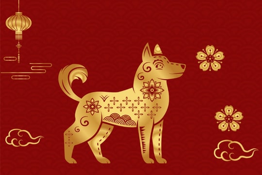 Tử vi Tết Bính Ngọ 2026 (mùng 1 - mùng 5 tháng Giêng): 3 con giáp may mắn tiền vàng rủng rỉnh