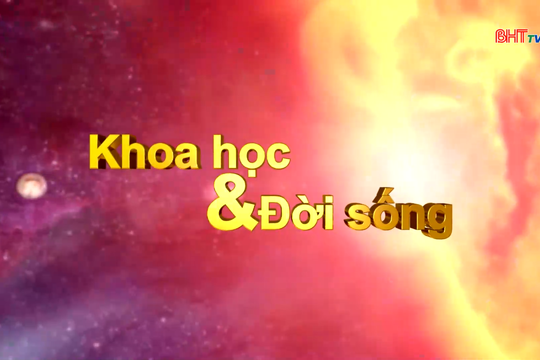 Nuôi trồng thủy sản thích ứng với biến đổi khí hậu