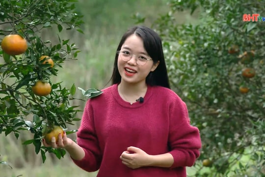 Non nước Hồng Lam: Xuân về nơi non cao