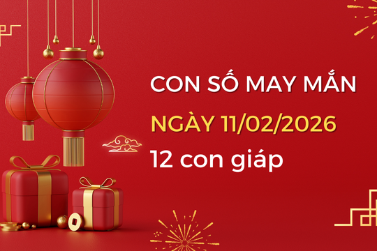 Con số may mắn hôm nay 11/2/2026 theo 12 con giáp: Bảng số tài lộc chi tiết 60 hoa giáp
