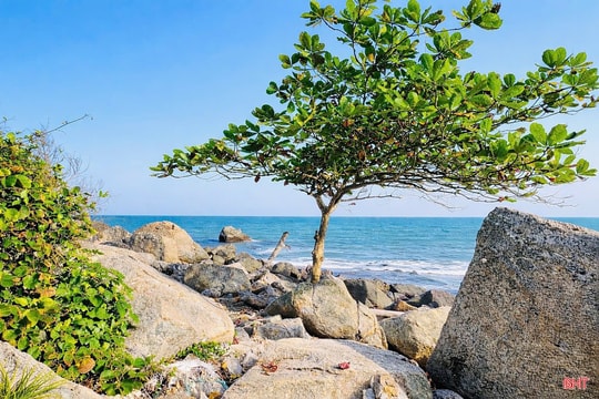 Eo Lói - vẻ đẹp nguyên sơ "gọi" bước chân khám phá