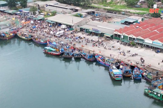 Sắc xuân làng biển: Khi gió Tết mang theo vị mặn của những chuyến tàu đầy ắp