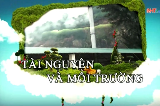 Sẵn sàng cho mùa trồng rừng mới