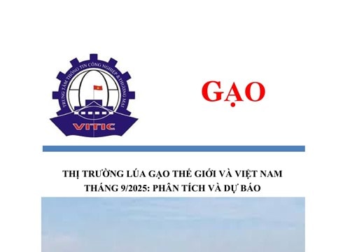 Giá gạo thế giới tháng 9/2025 có xu hướng giảm, thị trường xuất khẩu Việt Nam ổn định