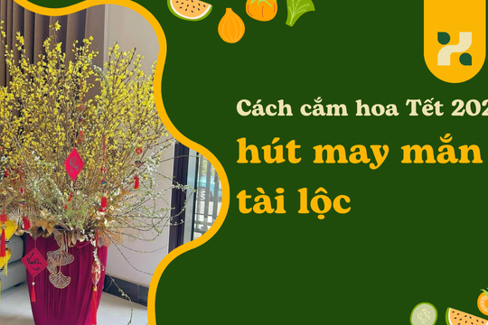 Cách cắm hoa Tết 2026 hút may mắn cho gia chủ với hoa cúc, cát tường, đồng tiền, nụ tầm xuân