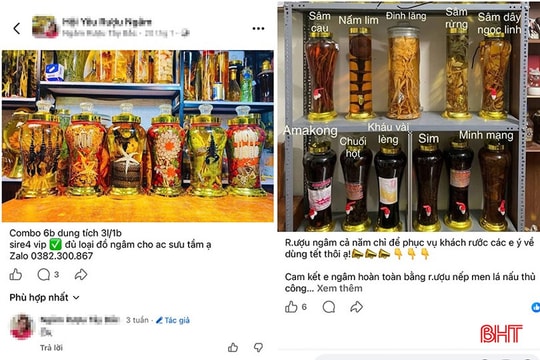 Cẩn trọng khi sử dụng các loại rượu ngâm trong dịp Tết