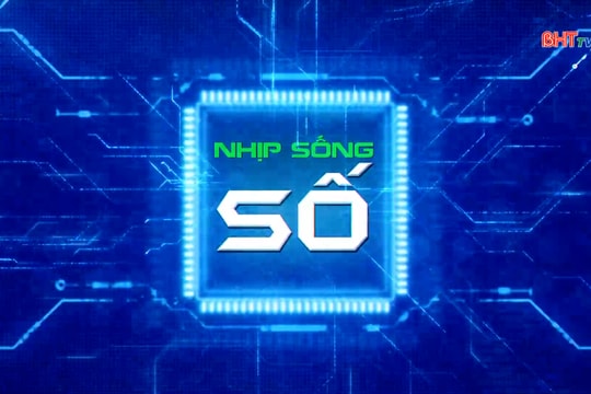 Trường học đồng hành cùng địa phương chuyển đổi số