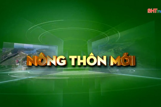 Ra quân NTM đầu xuân: làm sạch môi trường, sáng đẹp làng quê