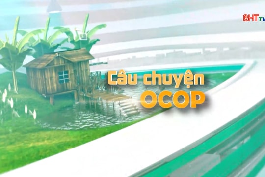 Tinh bột nghệ Hải Lợi