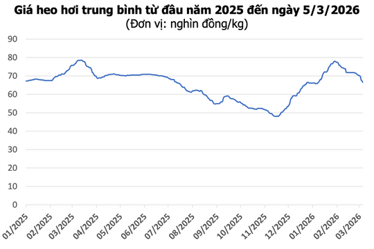 Giá heo hơi hôm nay 5/3: Giảm mạnh tới 3.000 đồng/kg, thấp nhất 63.000 đồng/kg