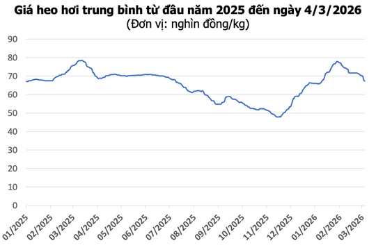 Giá heo hơi hôm nay 4/3: Giảm nhanh tại miền Bắc và miền Trung, thấp nhất 65.000 đồng