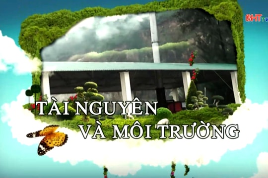 Tết trồng cây – ươm mần xanh năm mới