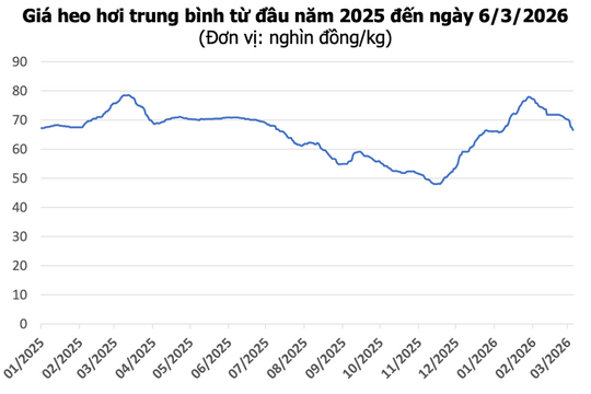 Giá heo hơi hôm nay 6/3: Giảm sâu trên diện rộng, mức thấp nhất 62.000 đồng/kg