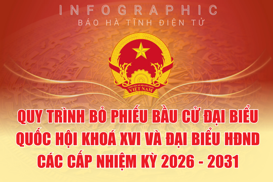 [Infographic] Quy trình bỏ phiếu bầu cử ĐBQH khoá XVI và đại biểu HĐND các cấp nhiệm kỳ 2026 - 2031
