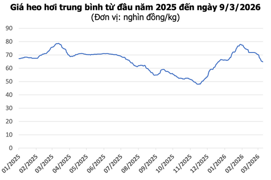 Giá heo hơi hôm nay 9/3: Giảm đến 2.000 đồng/kg, thấp nhất chạm mốc 61.000 đồng