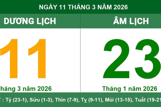 Lịch Âm Dương ngày 11/3/2026: Xem giờ hoàng đạo và lưu ý ngày Nguyệt Kỵ