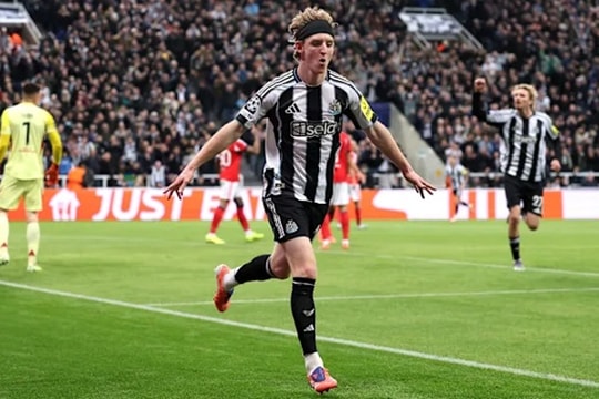 Anthony Gordon: Khắc tinh của hàng thủ dâng cao, hy vọng vàng của Newcastle trước Barcelona