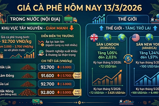 Giá cà phê hôm nay 13/3/2026 giảm, bình quân còn 92,700 đồng
