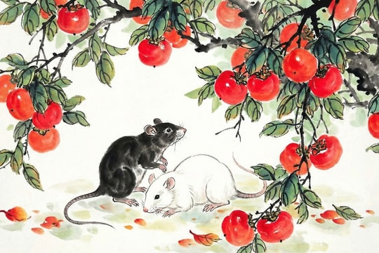 Tử vi tuần mới 16/3 - 22/3: Tuổi Hợi đón thành công, tuổi Dần gặp trở ngại