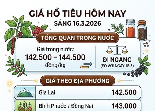 Giá hồ tiêu ngày 16/3/2026: Giá nội địa giảm 2.000 đồng/kg, Thái Lan tăng nhập khẩu từ Việt Nam