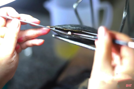 Nuôi trai nước ngọt lấy ngọc mở hướng phát triển thủy sản công nghệ cao