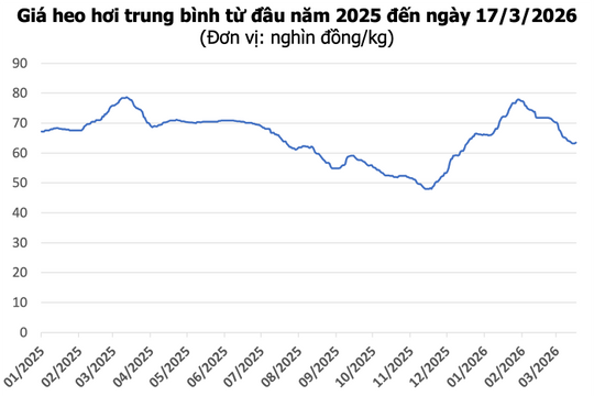 Giá heo hơi hôm nay 17/3: Miền Bắc tăng 2.000 đồng/kg, miền Nam đạt 66.000 đồng/kg