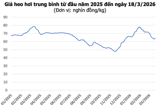 Giá heo hơi hôm nay 18/3: Tăng đồng loạt cả ba miền, cao nhất 67.000 đồng/kg