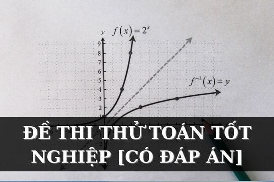 Đề thi thử tốt nghiệp THPT môn Toán năm 2026 của Sở GD-ĐT Bắc Ninh, kèm đáp án