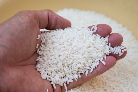 Giá lúa gạo hôm nay 20/3: Gạo nguyên liệu và phụ phẩm điều chỉnh giảm nhẹ