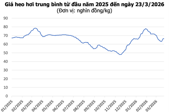 Giá heo hơi ngày 23/3: Thị trường miền Bắc đảo chiều giảm, miền Nam duy trì mức 69.000 đồng/kg