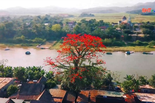 Sơn Giang – Khi sắc đỏ gọi tháng Ba