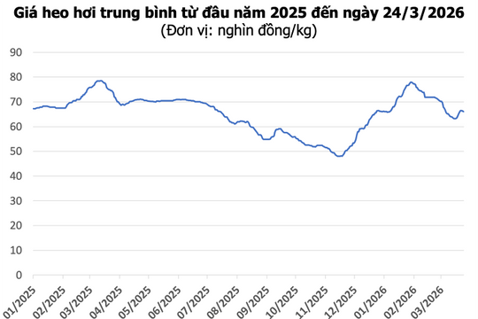 Giá heo hơi ngày 24/3: Miền Nam tăng lên 69.000 đồng/kg, miền Bắc và miền Trung giảm nhẹ