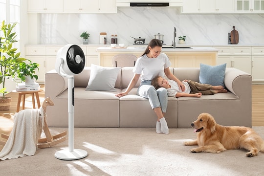 Quạt tuần hoàn Levoit 22.9 cm ra mắt: Công nghệ Tri-Cyclonic thổi xa 30m và cảm biến nhiệt thông minh