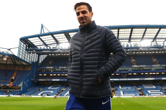 Chelsea cân nhắc bổ nhiệm Cesc Fabregas thay Liam Rosenior để cứu vãn mùa giải