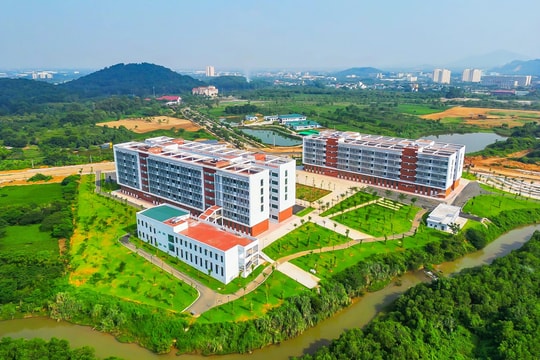 Tuyển sinh ĐHQG Hà Nội 2026: IELTS 5.5 quy đổi 8 điểm tiếng Anh