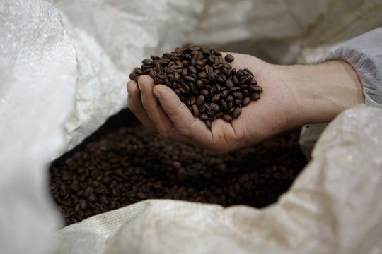 Giá cà phê hôm nay 25/3/2026: Arabica tăng lên cao nhất gần 7 tuần