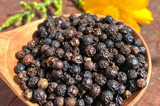 Giá tiêu hôm nay 25/3/2026: Giá giữ ổn định ở mức cao