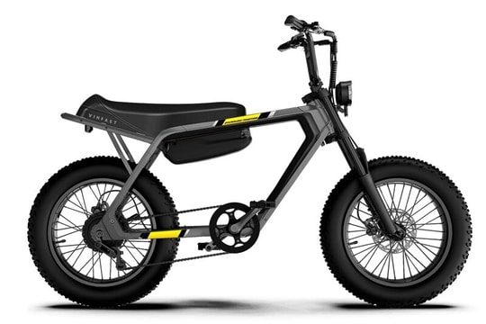 Top xe đạp trợ lực điện đáng mua tại Việt Nam: Kết hợp vận động và công nghệ