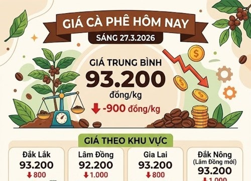 Giá cà phê hôm nay 27/3 giảm mạnh 1.000 đồng/kg, thị trường thế giới lao dốc do áp lực từ Brazil