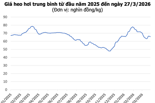 Giá heo hơi hôm nay 27/3: Hai miền Bắc và Trung giảm nhẹ, miền Nam cao nhất 69.000 đồng/kg