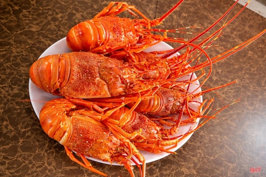 Khám phá những thực đơn "gây thương nhớ" khi về với biển Hà Tĩnh